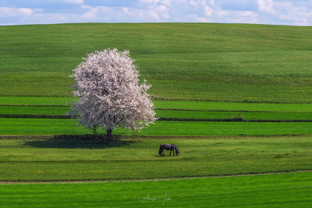 Spring in Hriňová