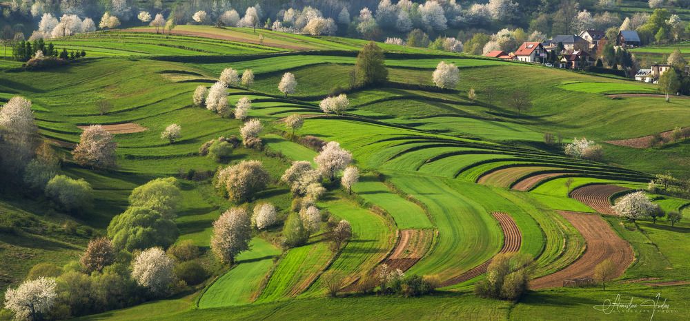 Spring in Hriňová
