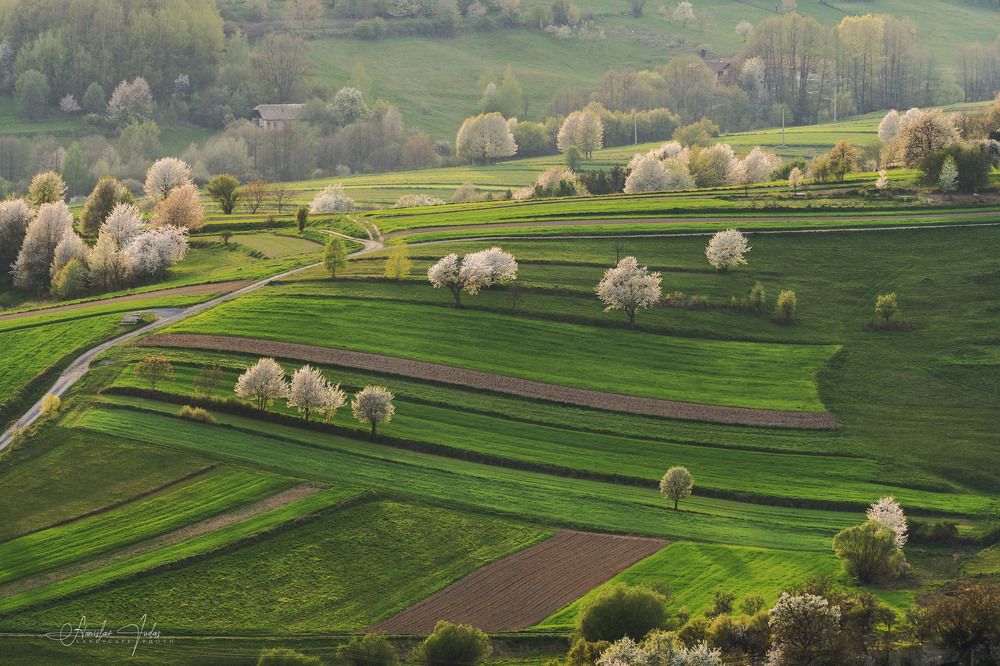 Spring in Hriňová