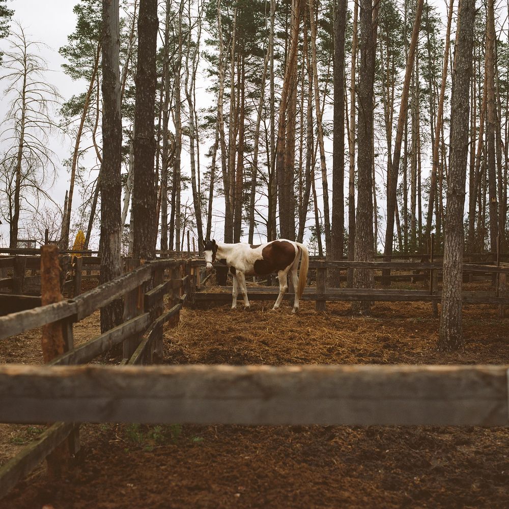 ***
