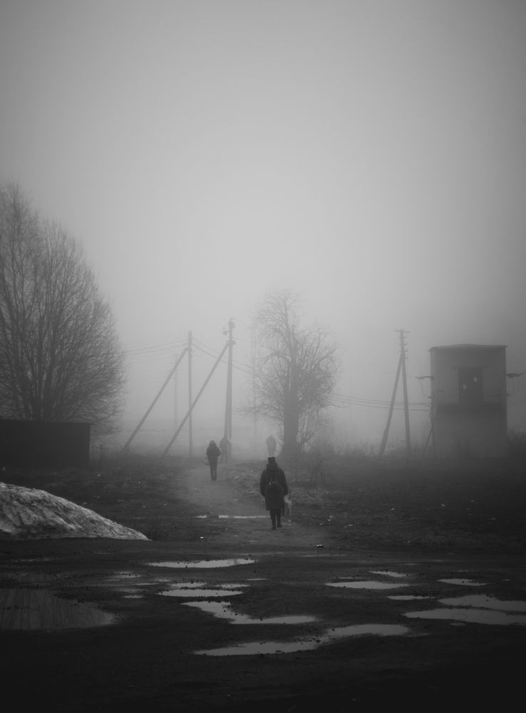 Утренний туман