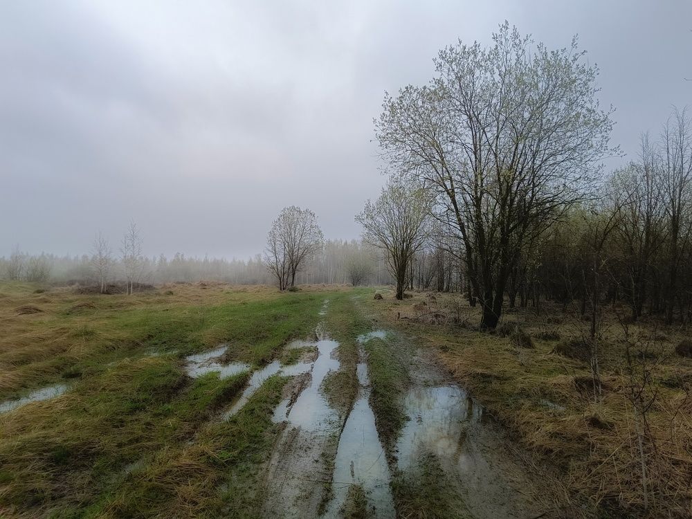 Photo 2630695