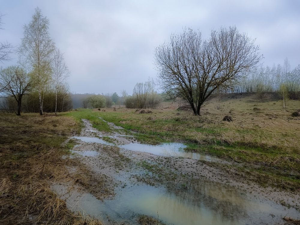 Photo 2630697