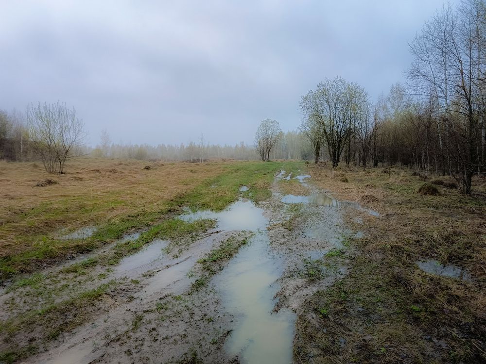 Photo 2630699