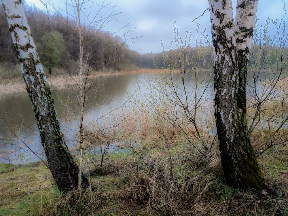 Photo 2630702