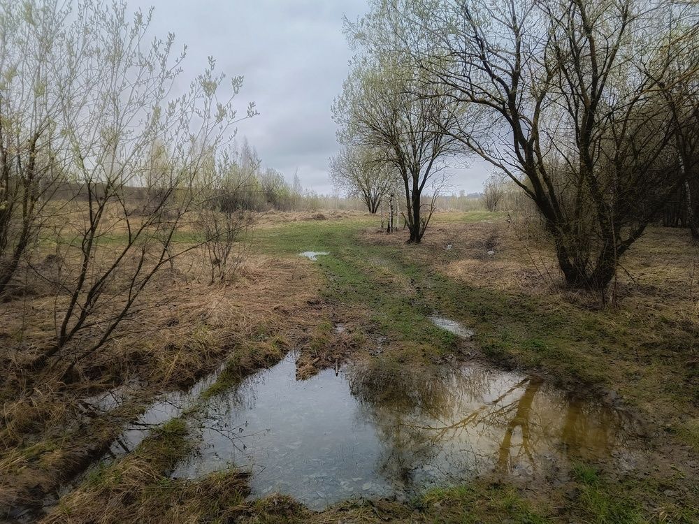 Photo 2630703