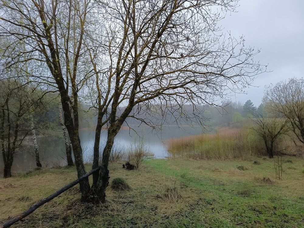 Photo 2630705