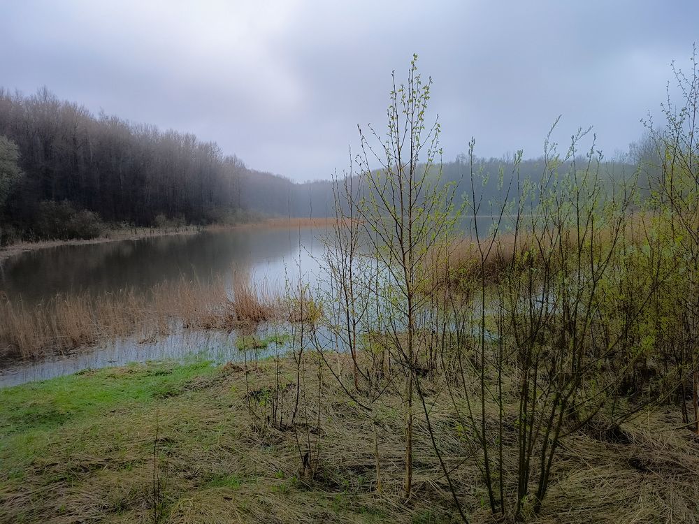 Photo 2630950