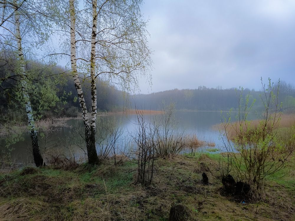 Photo 2630951