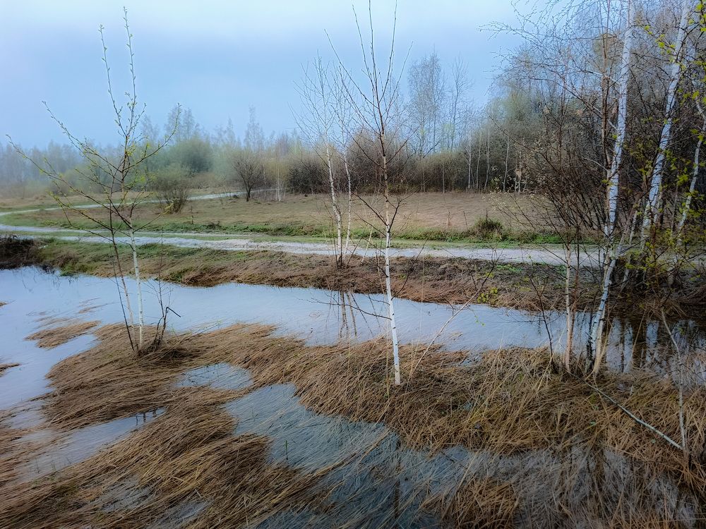 Photo 2630952