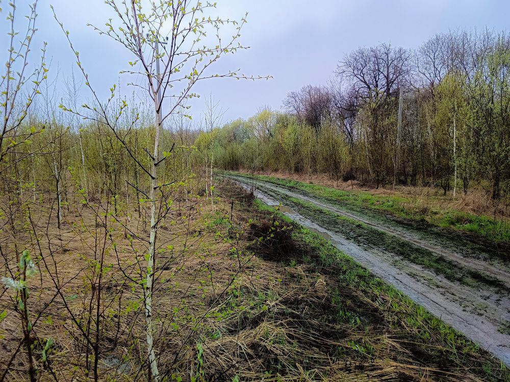 Photo 2630953