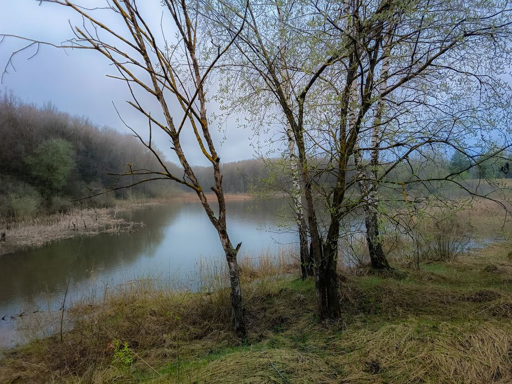 Photo 2630954