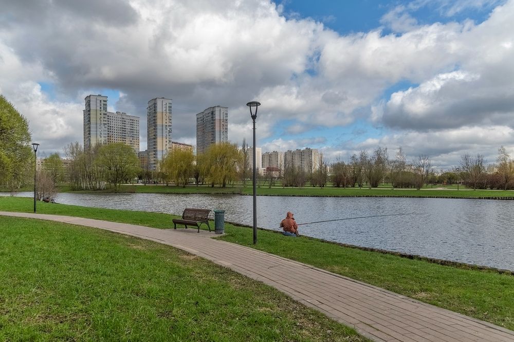 На берегу городского пруда