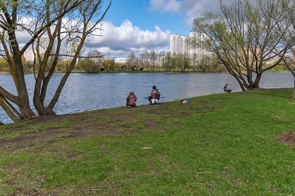 На берегу городского пруда