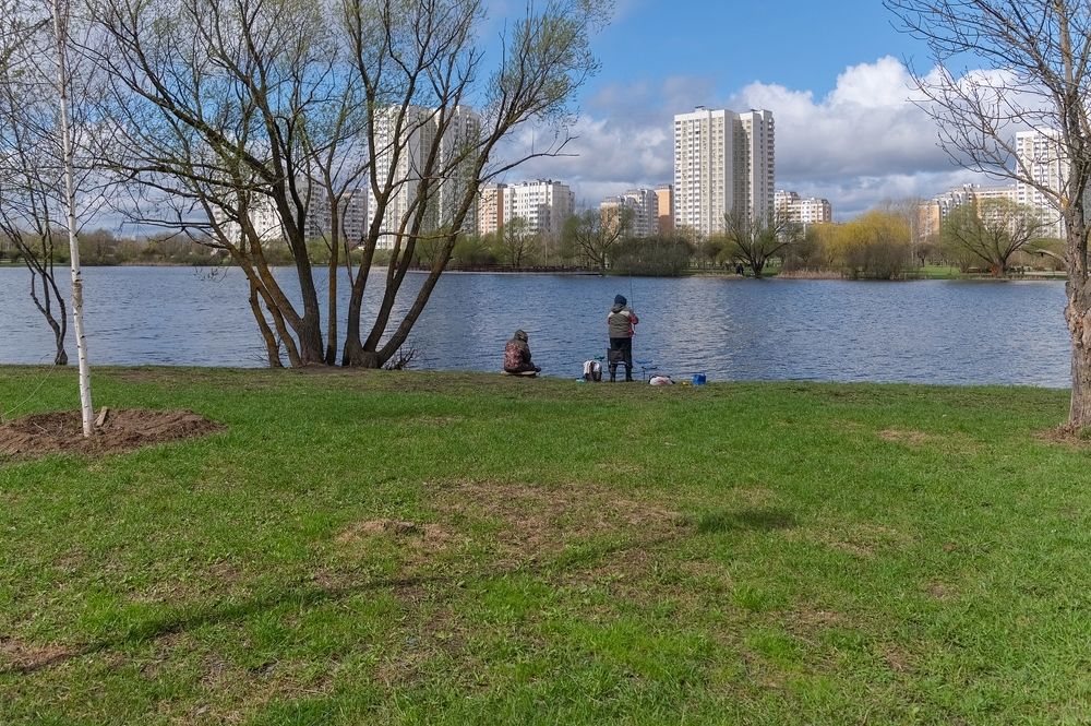 На берегу городского пруда