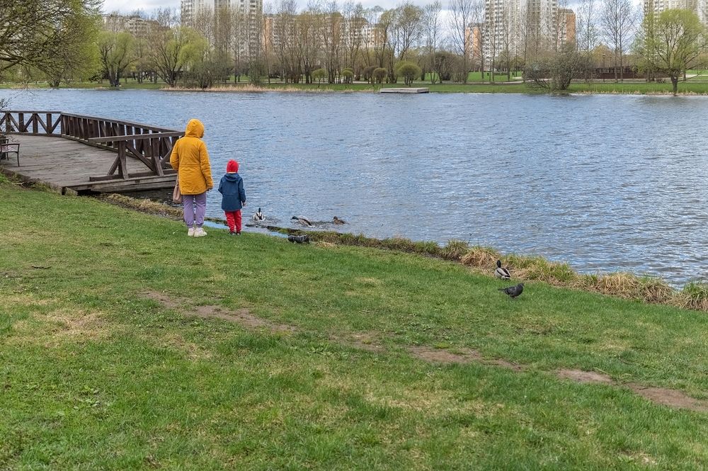 На берегу городского пруда