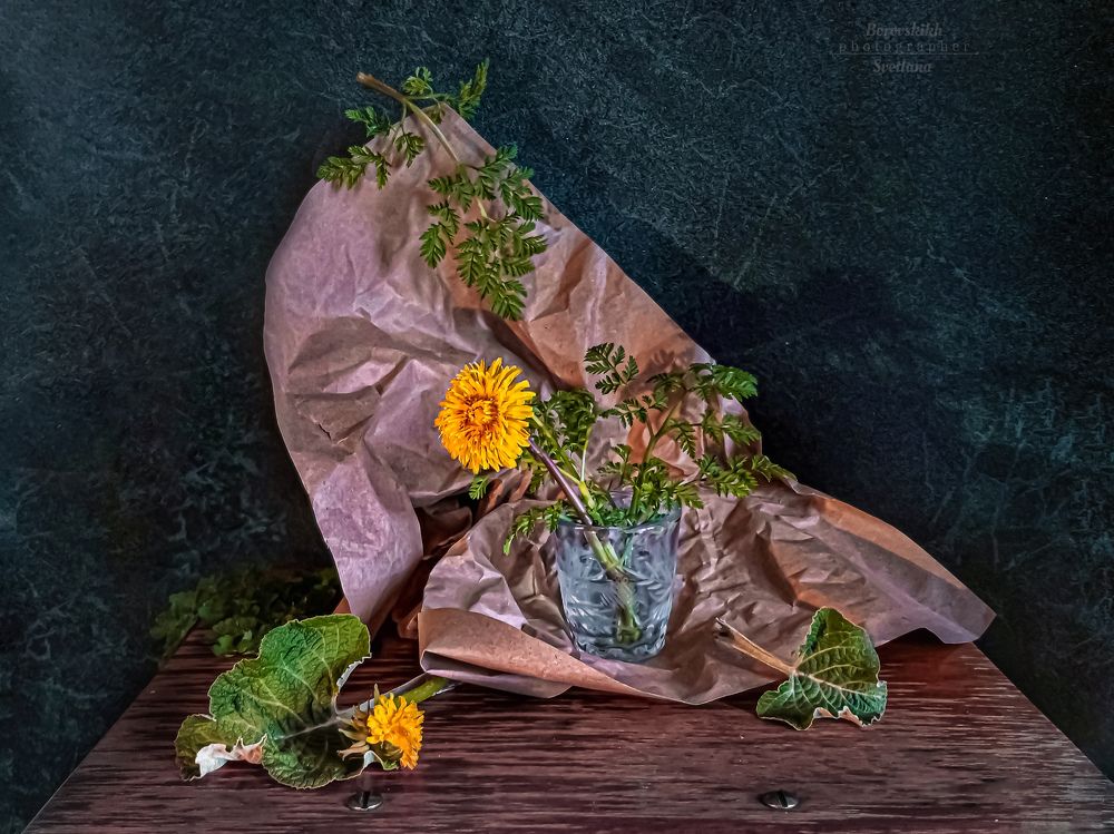 Одуванчик