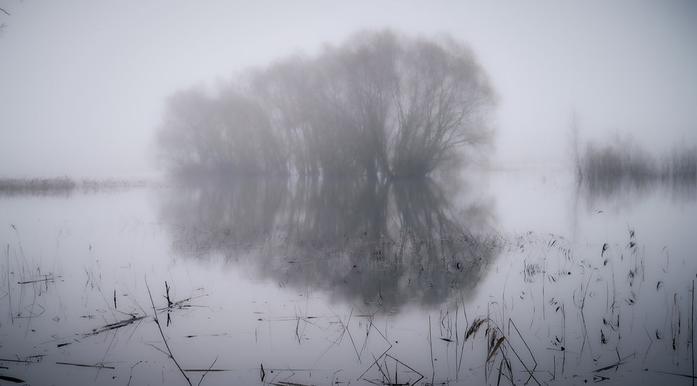 Photo 2631693