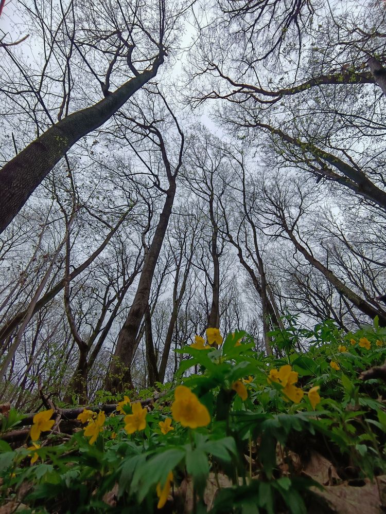 Photo 2631805