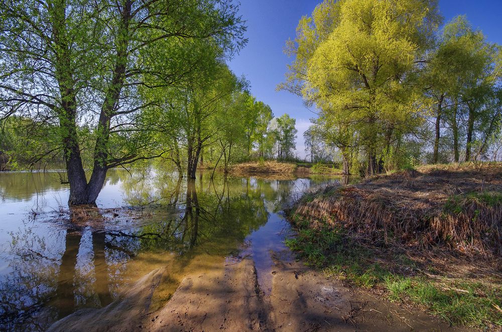 У воды