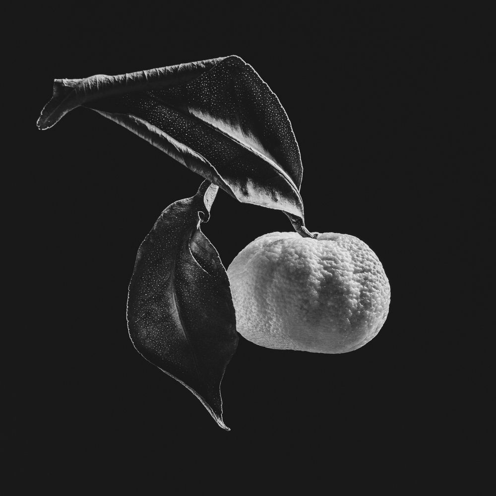 Photo 2632263