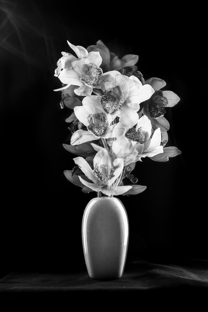 Photo 2632270