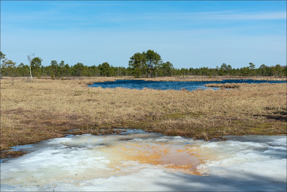 Торфяная водица на солнышке