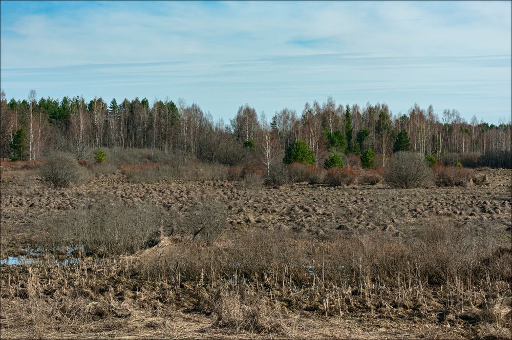Заливные луга после схода воды