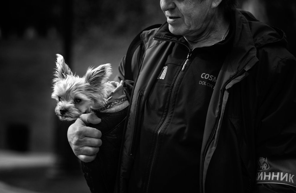 Photo 2633579