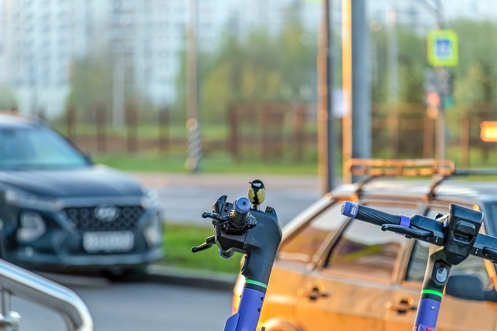 Городские зарисовки