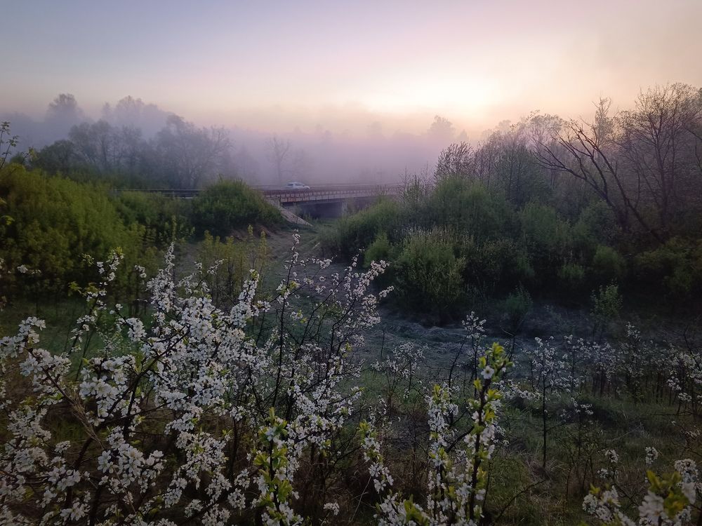 Photo 2633781