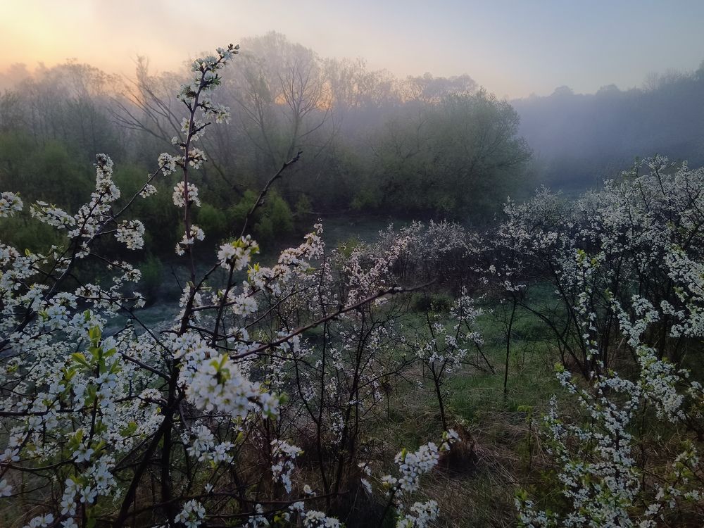 Photo 2633783
