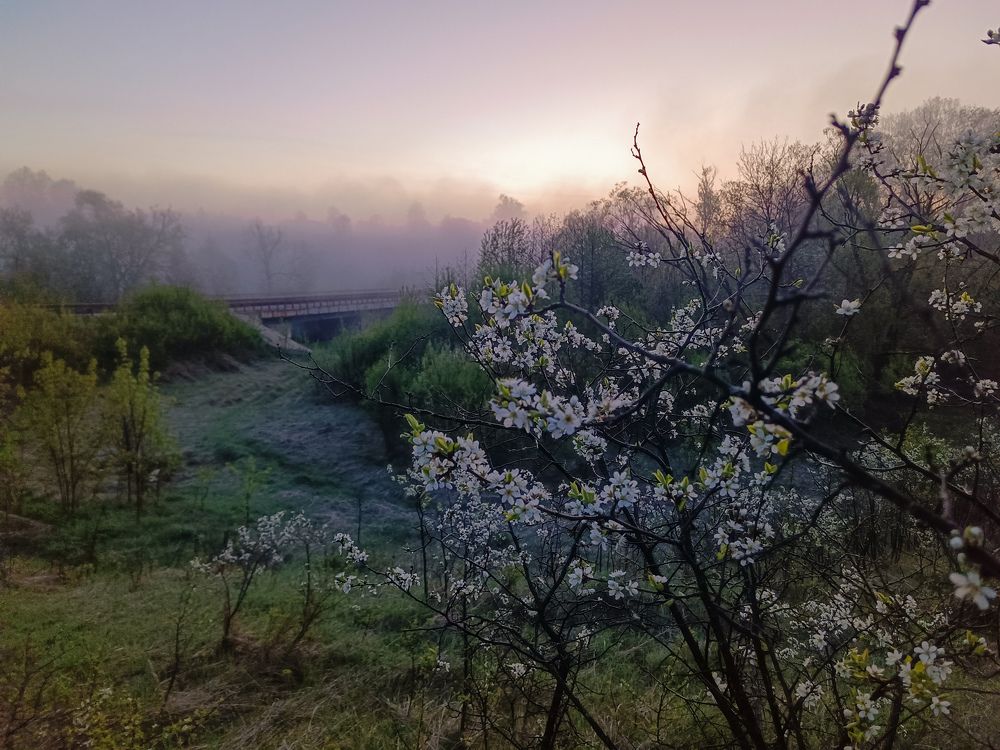 Photo 2633784