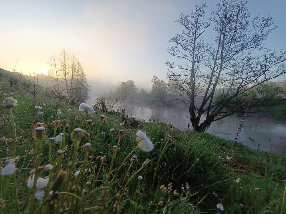 Photo 2633786