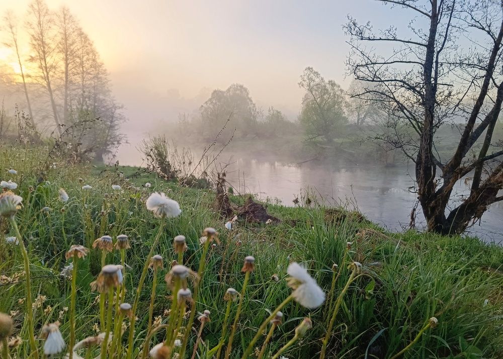 Photo 2633787
