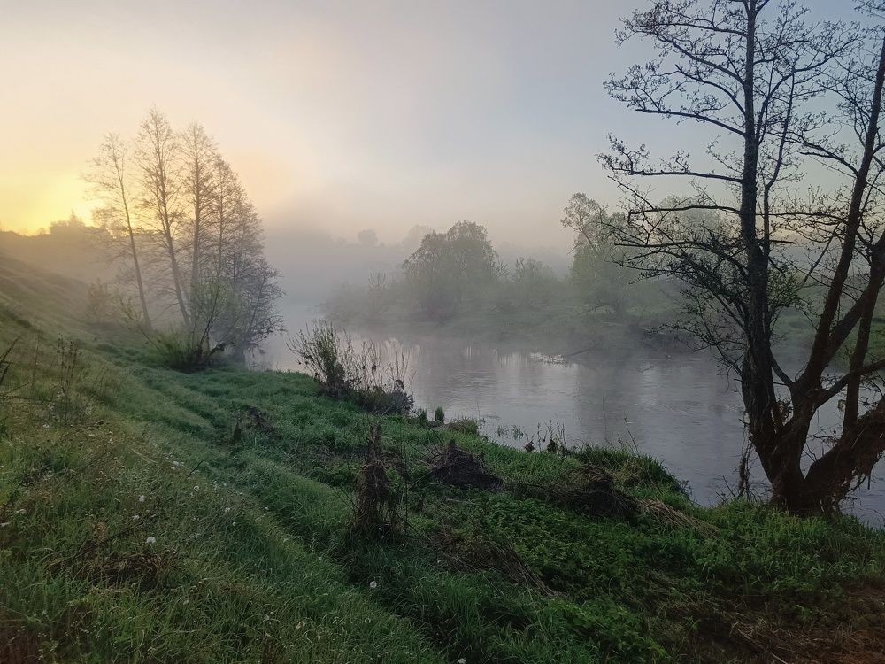 Photo 2633788