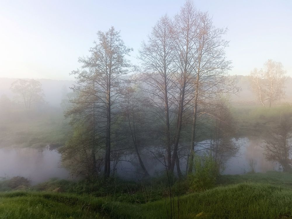 Photo 2633789