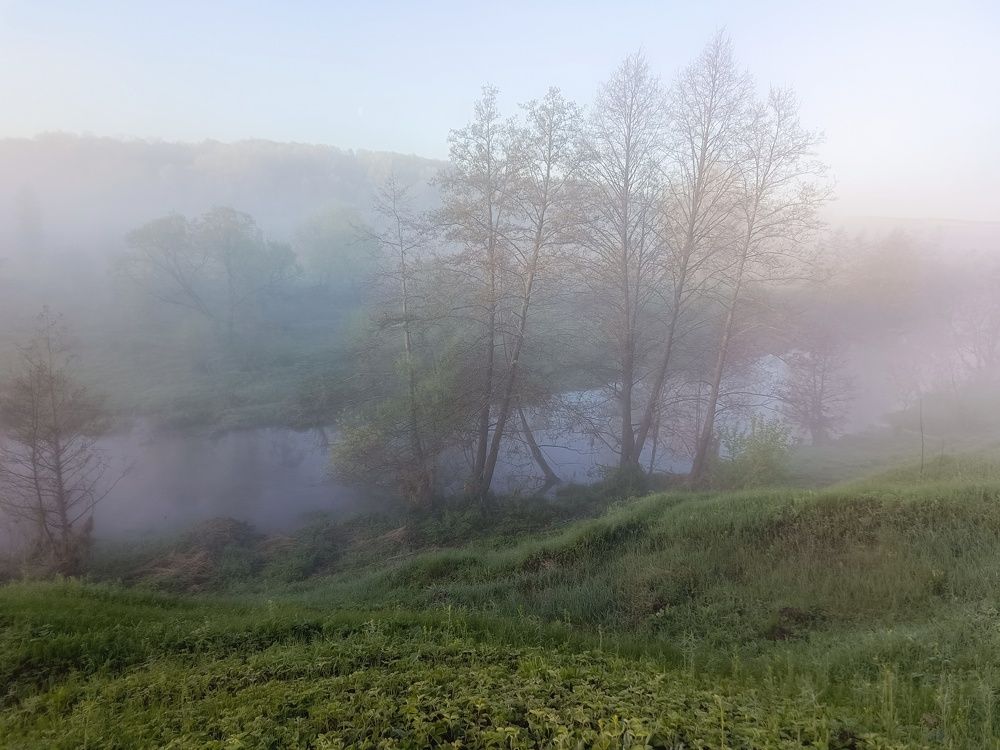 Photo 2633790
