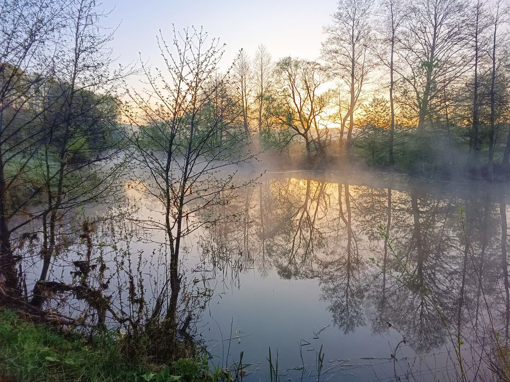 Photo 2633880