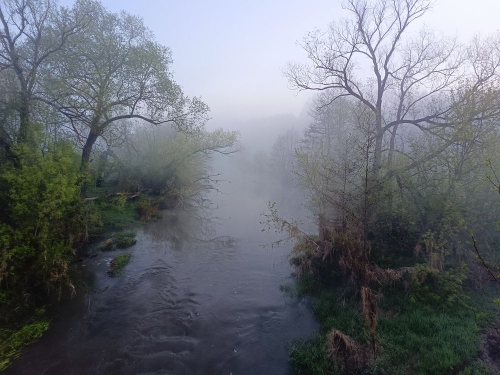 Photo 2633881