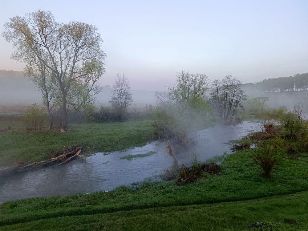 Photo 2633882