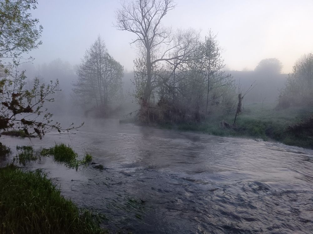 Photo 2633884