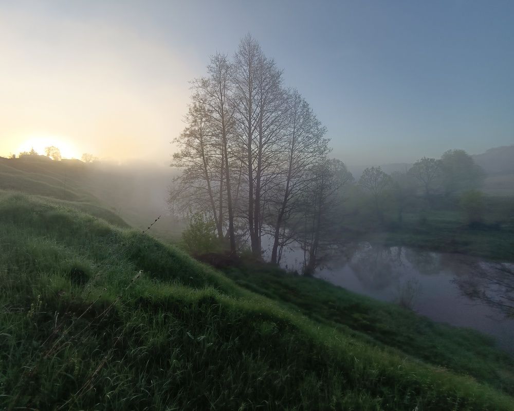 Photo 2634321