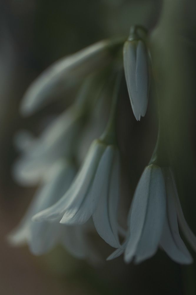 Photo 2634795