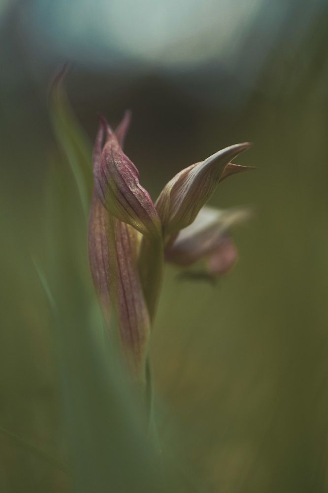 Photo 2634796
