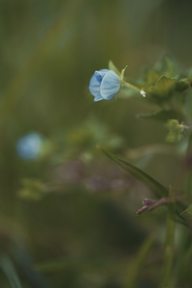 Photo 2634797
