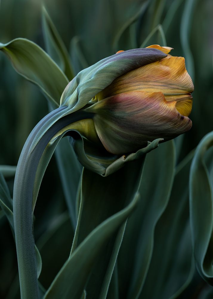 Photo 2635426