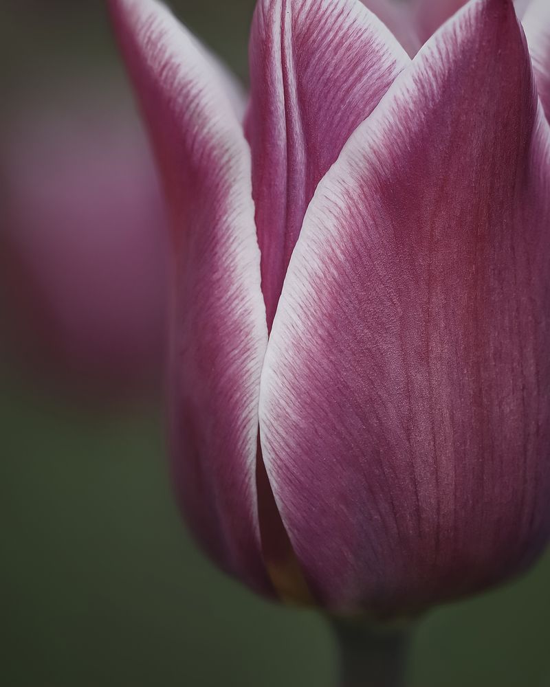Photo 2635427