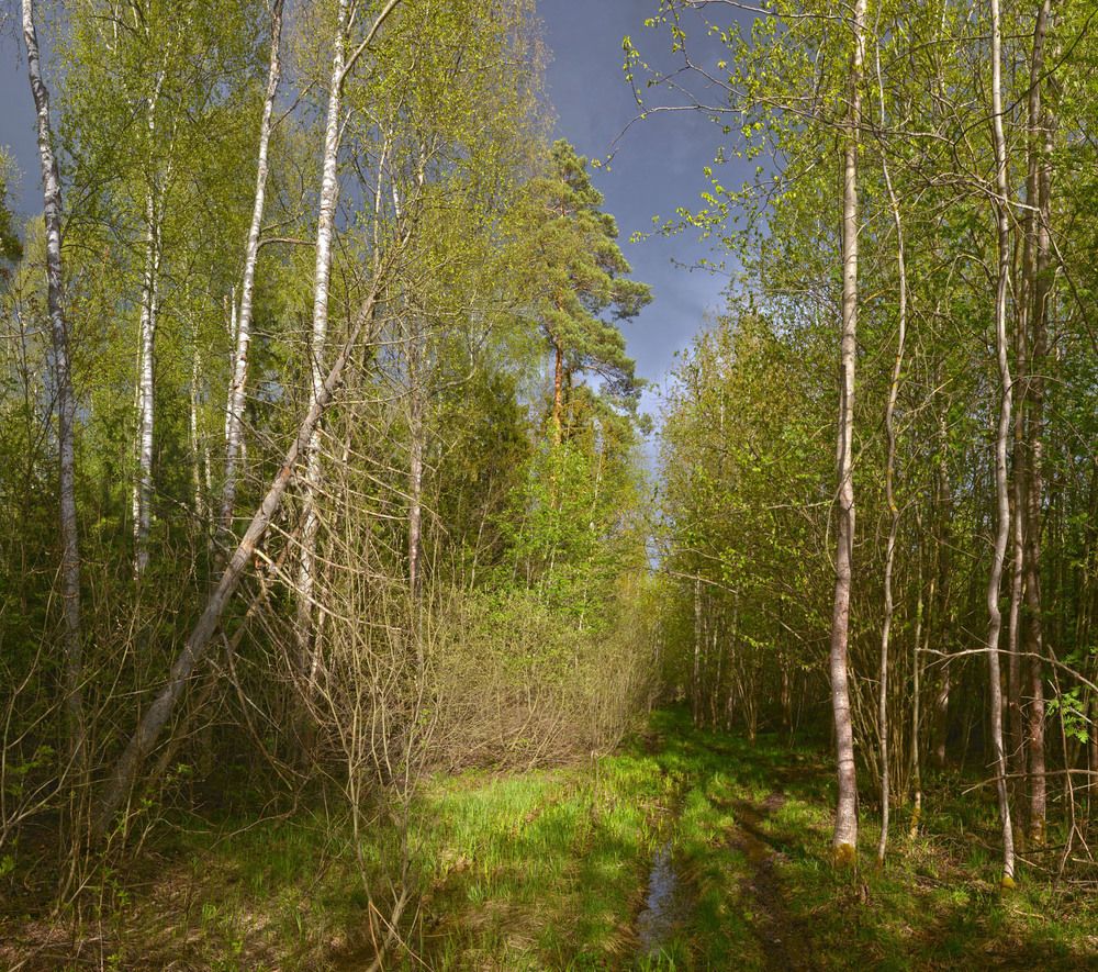 Ну, и в другую сторону