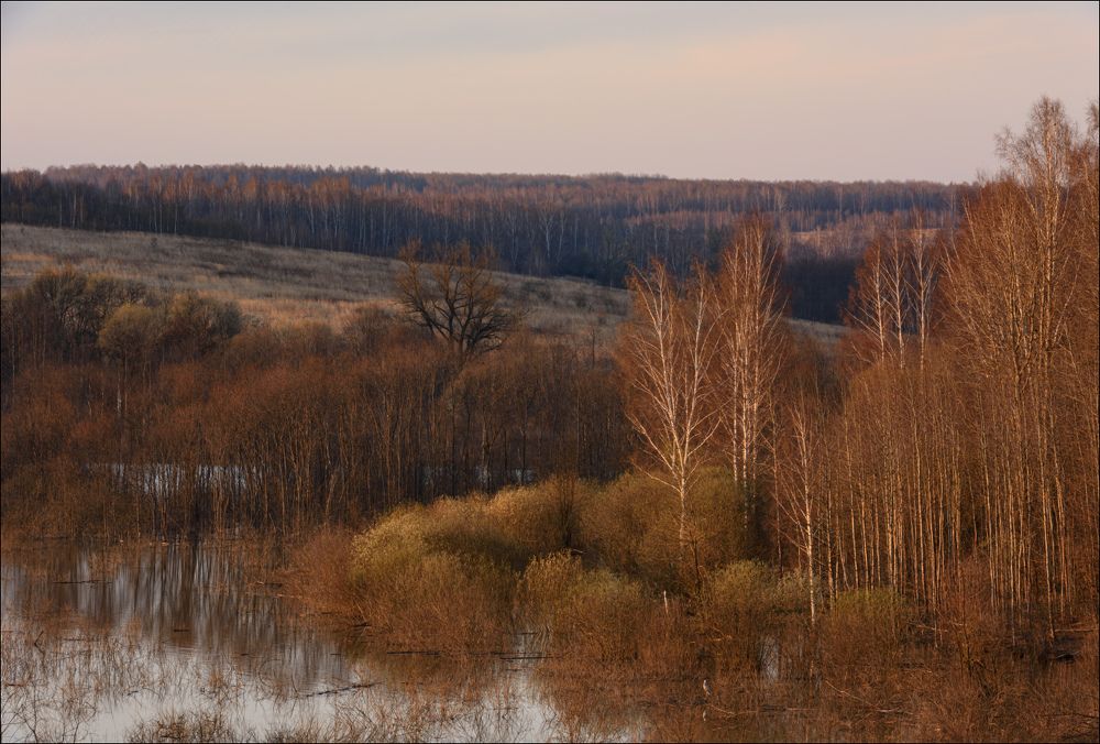 Пейзаж с цаплей, в последних лучах.